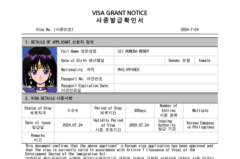 Korean Visa